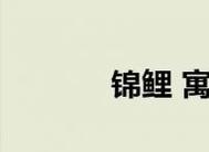 龙子电磁炉故障代码解析（龙子电磁炉常见故障代码及解决方法）